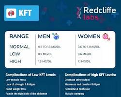 Image of Kidney Function Tests (KFTs)