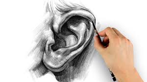 30 Best Drawing Tutorials Learn Drawing Techniques From Masters How To Draw Ears Drawing Tutorial Portrait Drawing