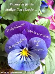 Dieses Wunsche Ich Dir Schonen Tag Spruche Lustige Guten Morgen Grusse Schonen Tag Wunschen