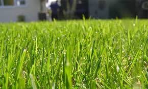 By aerating your lawn, you improve the chance of your grass growing thick and beautiful. Lawn Care And Lawn Maintenance Services Lawntech
