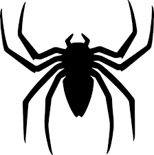 Bug experts explain the spiders that like to creep indoors and what they look like: Killing Spiders A Metaphor For Marriage Committing Sociology