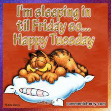 A collection of tuesday quotes to encourage you, to make you smile, and to give you food for thought! 50 Amazing Tuesday Morning Funny Quotes Images Memes Happy Tuesday Quotes Happy Tuesday Pictures Happy Tuesday