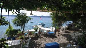 Baska Soze Gerek Yok Mavi Akvaryum Otel Sogut Resmi Tripadvisor