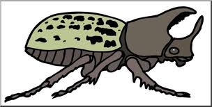 Survival evolved with its lair in the freezing north. Clip Art Insects Rhinoceros Beetle Color I Abcteach Com Abcteach