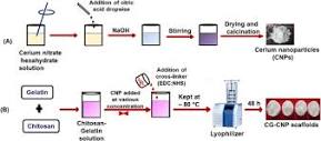Cerium oxide nanoparticles disseminated chitosan gelatin scaffold ...