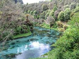 Te Waihou Walkway Map Blue Spring, Te Waihou Walkway In Putaruru By Freewalks.nz