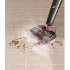 Steam Pet Cleaning Ceramic Tiles Cleaning Pet Hair Pet Cleaning