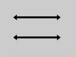 We did not find results for: 17 Parallel Lines Examples In Real Life Studiousguy