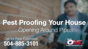 Nlb services competes in the business support services industry. Pest Control Videos Dial One Franklynn Pest Control