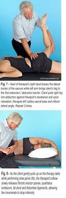 Pin On Physical Therapy