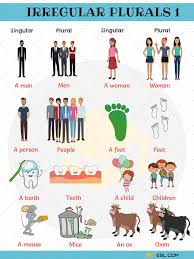 Irregular Plural Nouns Useful Rules List Examples 7 E S L Irregular Plurals Plurals Irregular Plural Nouns