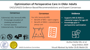 Image result for Bianco Divino 2011 147