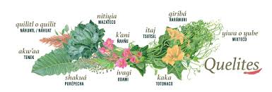 Image result for Sesamum parviflorum