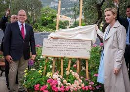 Its very fragrant flowers are fully double and light apricot to shell pink in color. Prince Albert And Princess Charlene Open Princess Grace Rose Garden