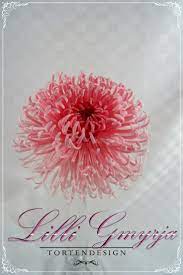 Spider Chrysanthemum Sugar Flowers Tutorial Fondant Flower Tutorial Fondant Flowers