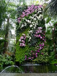 Pin Oleh Shoot Limited Di Shoot S Guest Gardening Board Anggrek Taman Bunga
