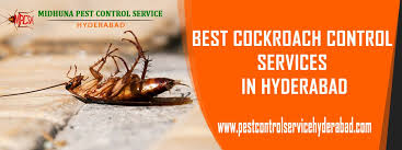 We leave no stone unturned and provide the best hyderabad pest control services and experience to our customers. Midhuna Pestcontrol Midhunapestcon1 Twitter