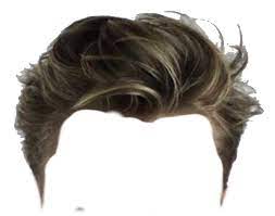 Pin By French Press Coffee On Pngs Photoshop Hair Hair Png Download Hair