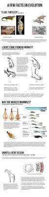 I Chucked This Together And Want To Know Of Any Fix Ups I Can Do Xd Help Science And Nature Evolution Science Facts