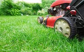 Pin On Lawn Mowing Padbury