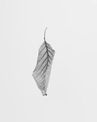 Photo scenery japanese aesthetic aesthetic korea japan aesthetic pictures korean picture aesthetic pictures city aesthetic. Grey Aesthetic Pictures Download Free Images On Unsplash