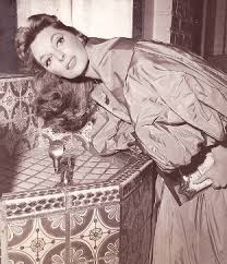 Image result for Amber Sherwood 1972 Satellite