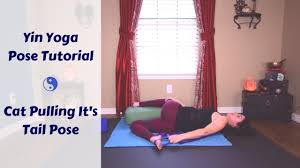 When you pull the cat's tail, he screams. Cat Pulling Its Tail Tutorial Yin Yoga Pose Modifications Props Youtube