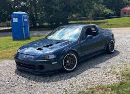 Image result for Blepharis sol