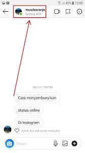Cara mengatasi filter tidak muncul. Cara Menyembunyikan Status Online Di Instagram Musdeoranje Net