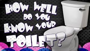 It's like the trivia that plays before the movie starts at the theater, but waaaaaaay longer. Toilet Trivia Game Games Download Youth Ministry