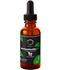 Image result for Synadenium kirkii