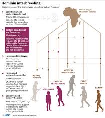 We did not find results for: Denisovans Neandertals And Human Emotions Nutcracker Man