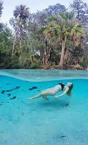 Maximum of 1 rv and 1 tent or 2 tents per site. Exploring Silver Glen Springs Every Day A Vacation