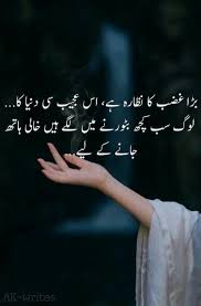 Haqeeqat Diya Nice Words About Life Urdu Funny Poetry Urdu Words