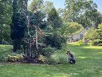 Photography in the Gardens