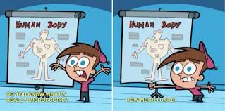 Asapscience On Twitter Funny Relatable Memes Stupid Funny Haha Funny