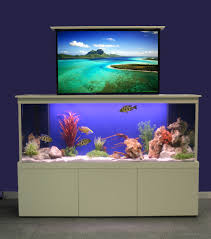 Tv Stand Fish Tank Decorations Aquarium Design Aquarium Stand