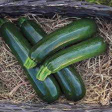 One thing about powdery mildew: Organic Non Gmo Desert F1 Zucchini