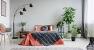 Living Room Apartment Indoor Plants