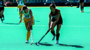 Image result for Emilia hockii