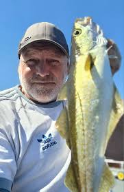 What's best fir pollock and cod