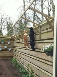 It also covers any changes in elevation that a fence travels over. How Cat Proof 3 8 Ft Fence Thecatsite