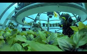 Nemo S Garden Italy S Revolutionary Underwater Fruit And Vegetable Farm Oddity Central Collecting Odditie Underwater Growing Vegetables Vegetable Farming