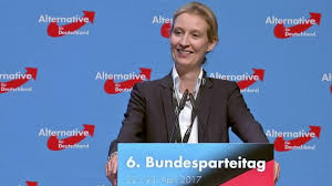Sinnvolle entscheidung, aber warum nicht viel früher? Afd Wahlkampf Zum Bundestag Mit Alice Weidel Fur Die Traditionelle Familie Queer De