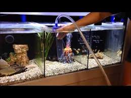 The Best Aquarium Gravel Cleaners Betta Fish Care Fish Tank Aquarium Betta Fish Care