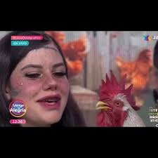 Daniel.ElGallo con más potencial que un tiktoker promedio