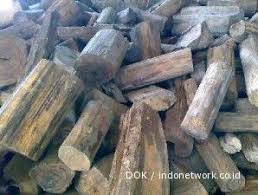 Kayu gaharu merupakan jenis kayu yang berasal dari beberapa spesies pohon dari genus aquilaria, khususnya jenis a. Keran Ekspor Tanpa Perantara Dibuka China Langsung Pesan 500 Ton Kayu Gaharu