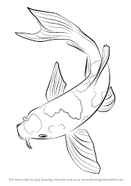 Create a body of fish that is similar to a rugby ball. Learn How To Draw A Koi Fish Fishes Step By Step Drawing Tutorials