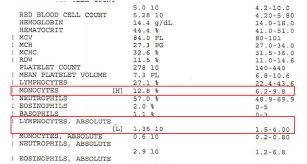 During the time i've been taking d3, the hair loss has slowly but steadily continued. Going Vegan For Hair Growth Think Twice My Story The Evidence