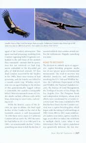 We did not find results for: Birds Of Prey Hawks Eagles Falcons And Vultures Of North America Nhbs Field Guides Natural History